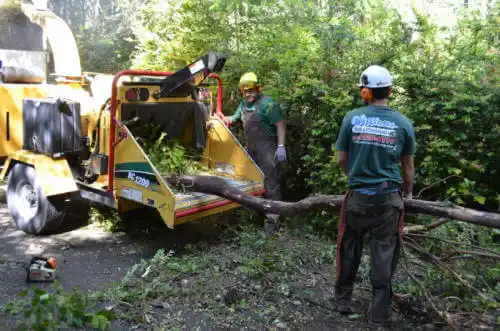 tree services Harbison Canyon